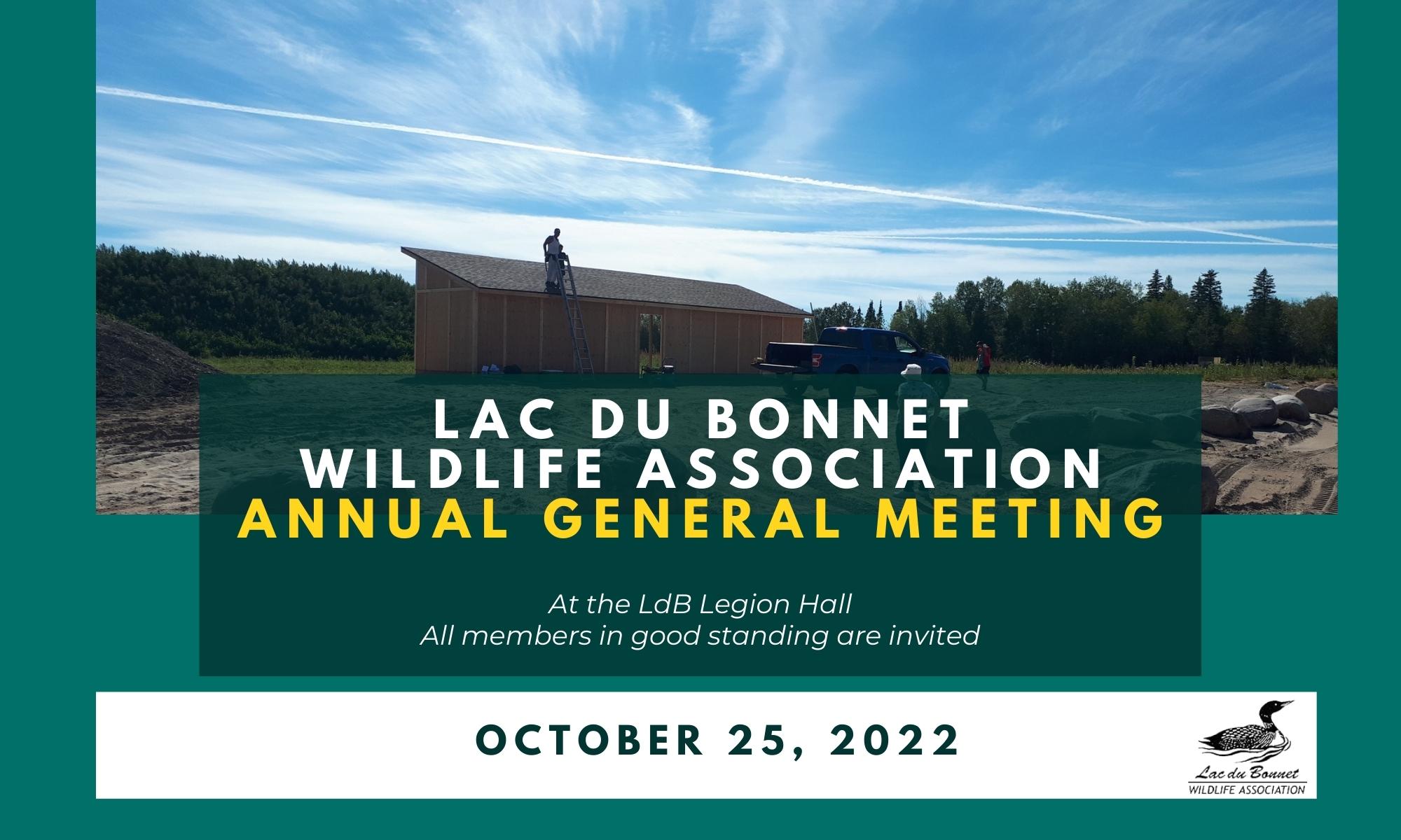 L D B W A Annual General Meeting poster