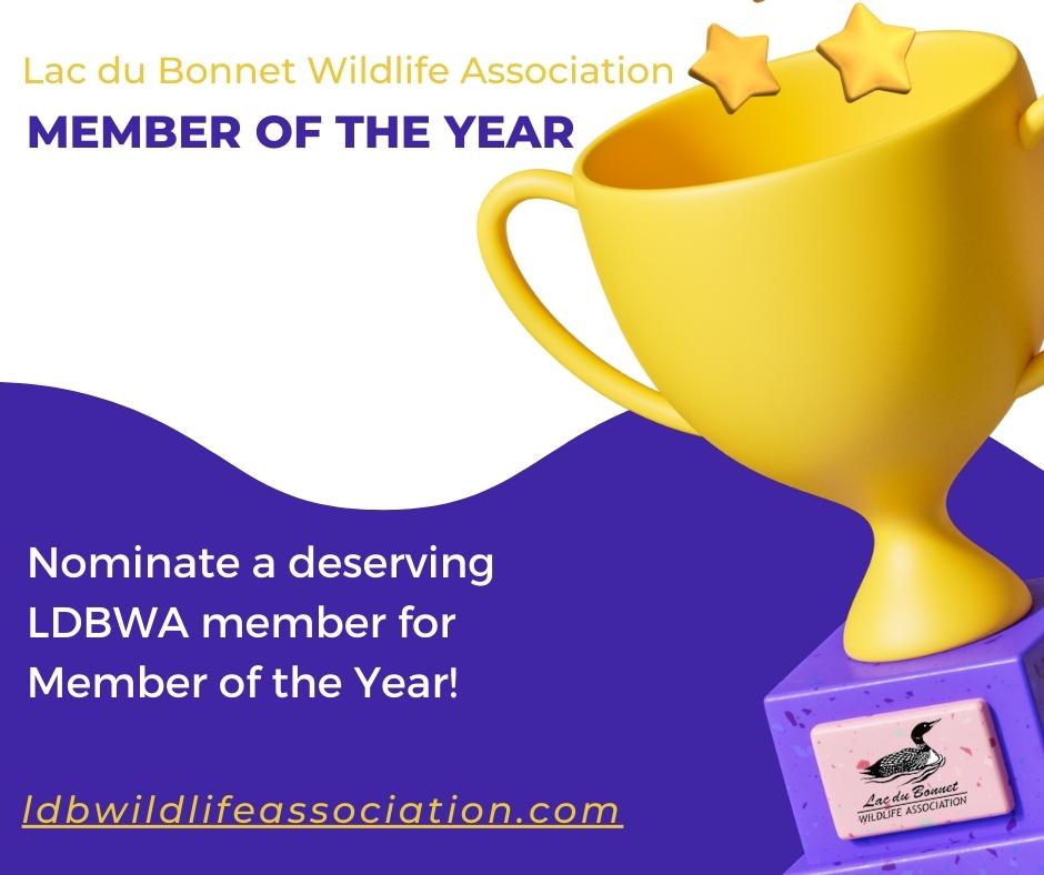 Image of a trophy with the Lac du Bonnet Wildlife Association logo