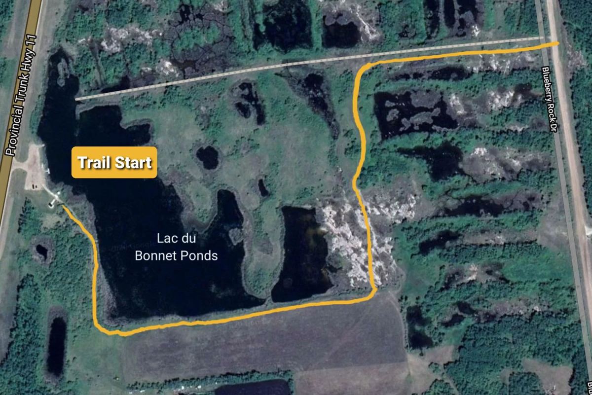 Satellite view of pond and interpretive trail